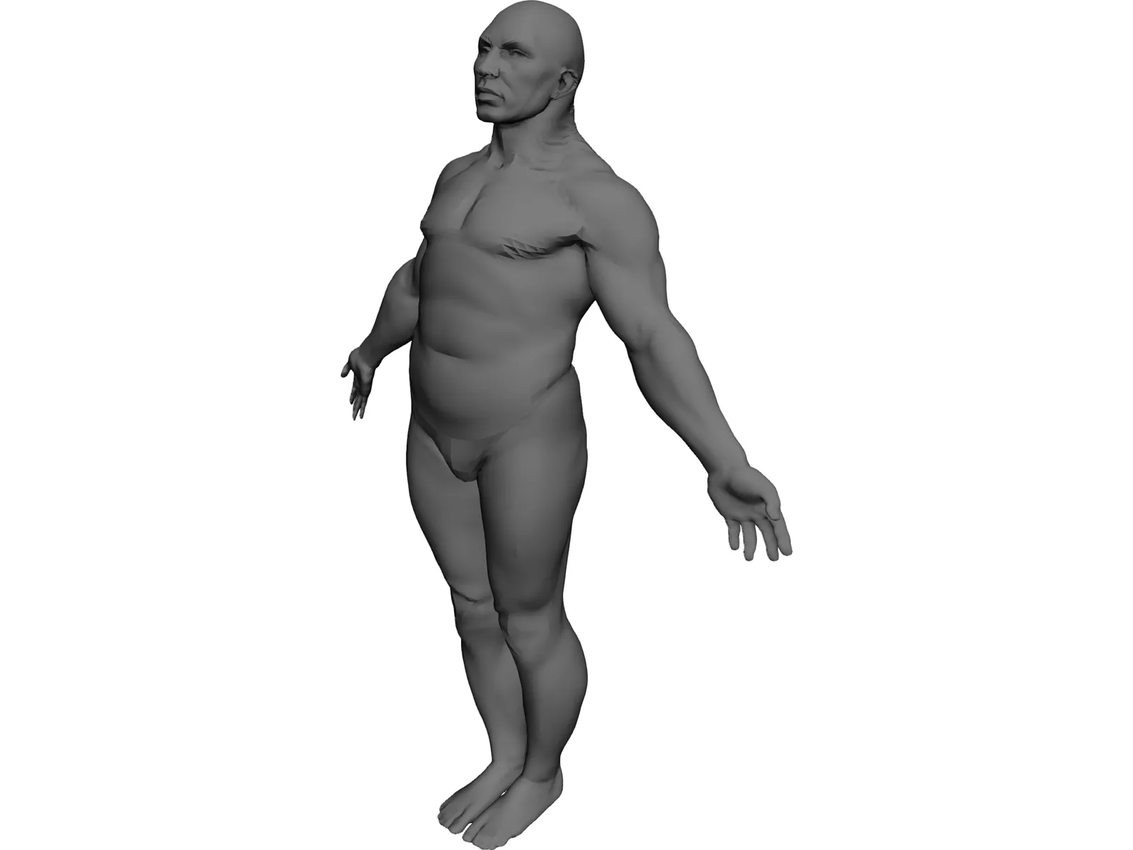 Male Body 3D Model main preview