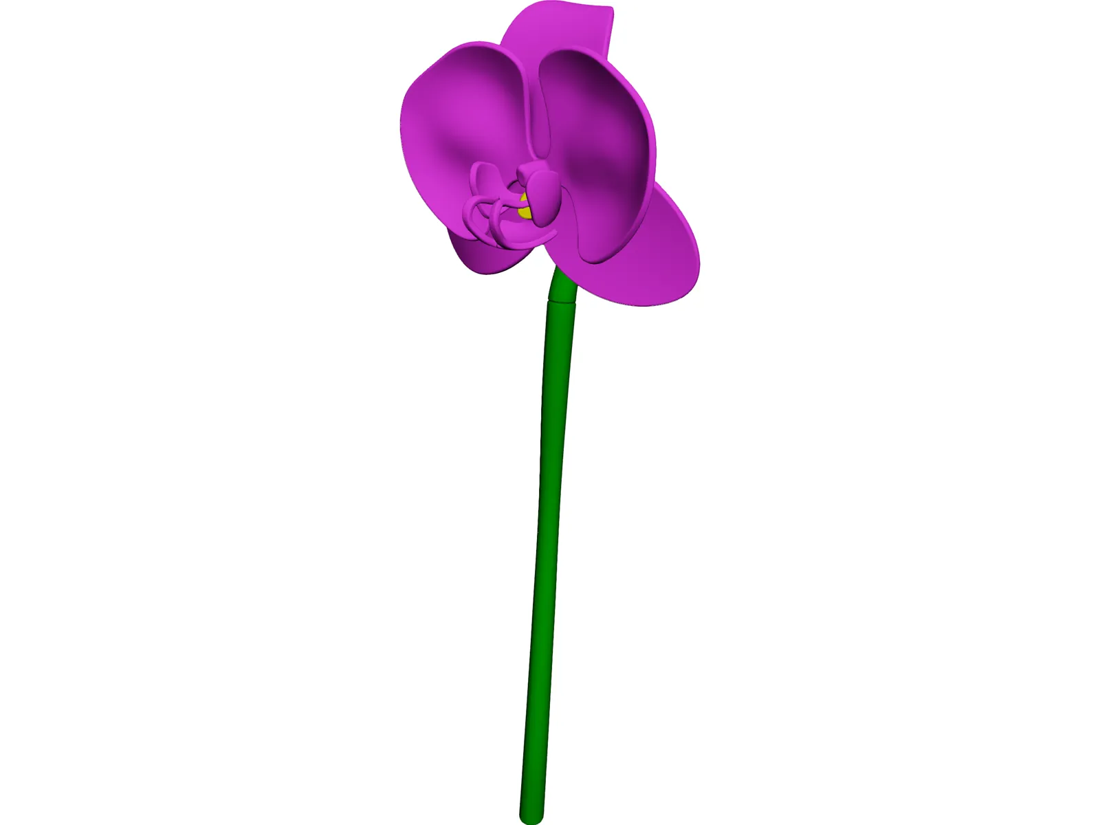 Orchid Flower 3D Model main preview