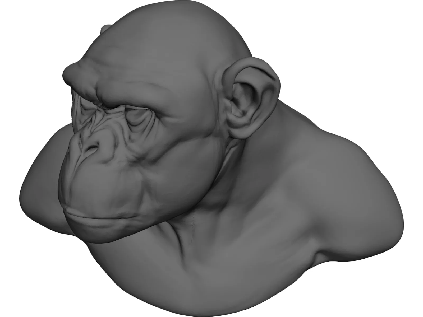 Chimp Head 3D Model main preview