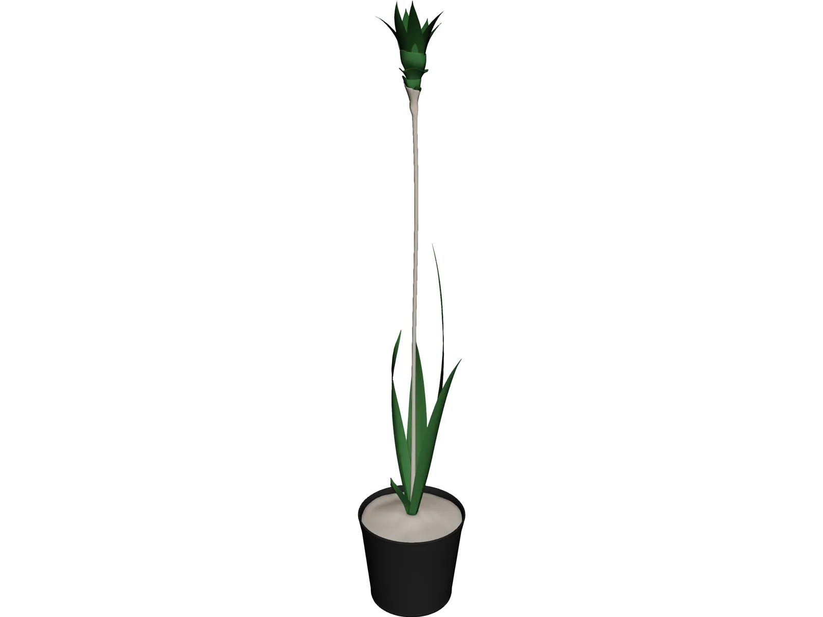 Potted Plant 3D Model main preview