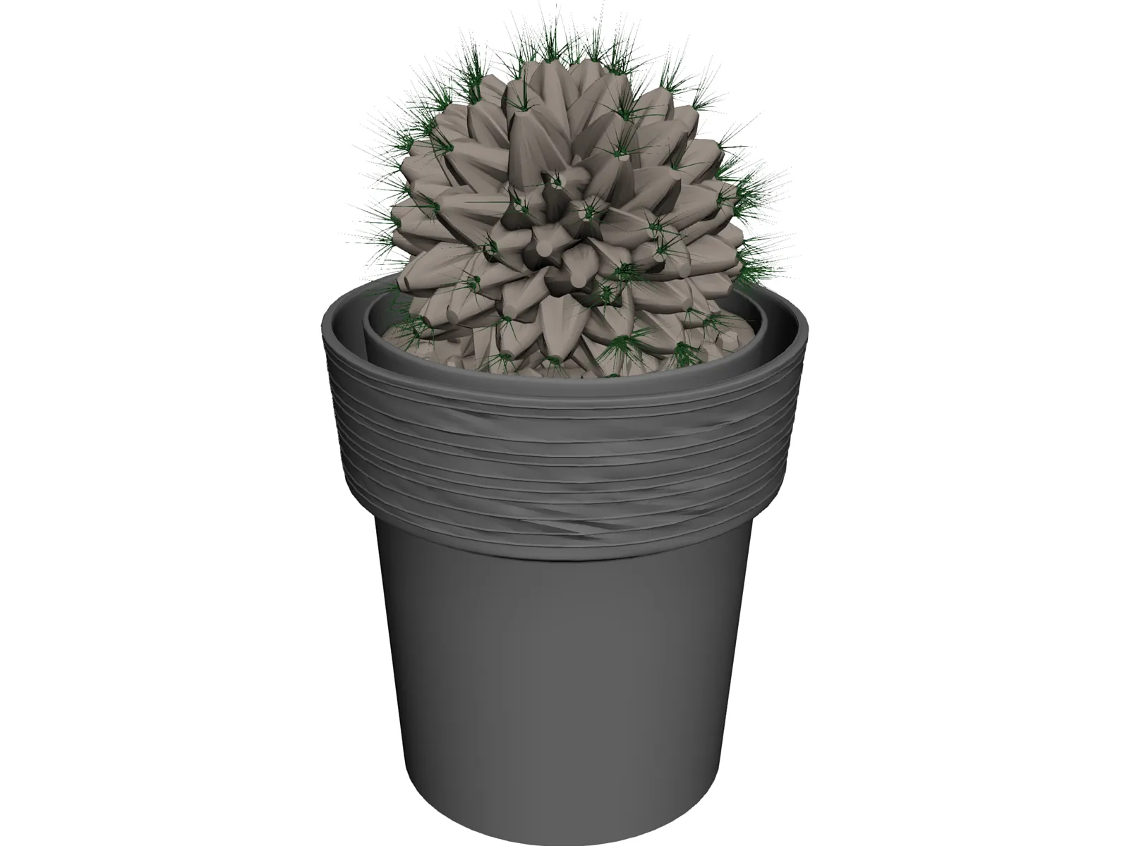 Potted Cactus Plant 3D Model main preview
