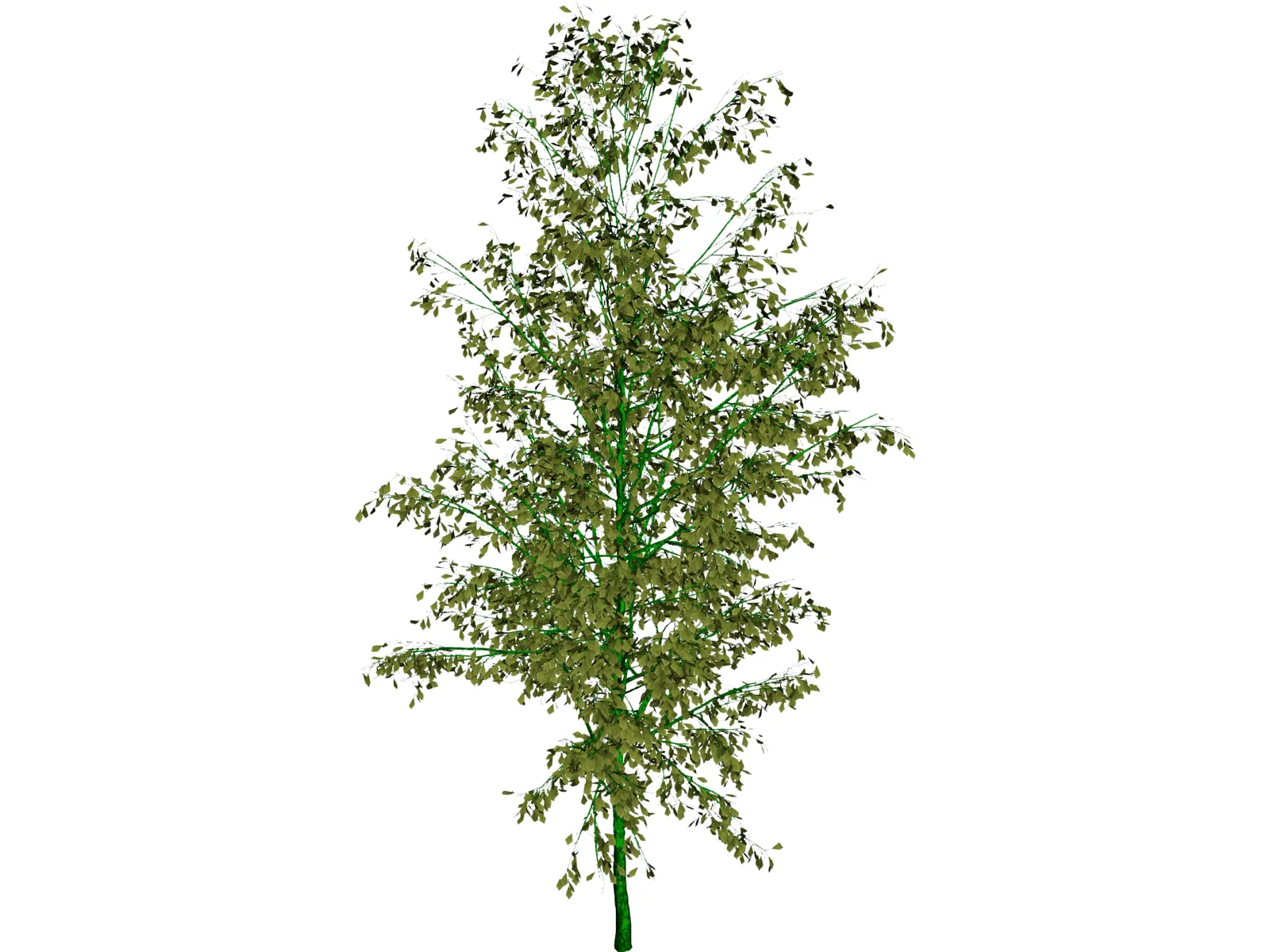 Birch Tree 3D Model main preview