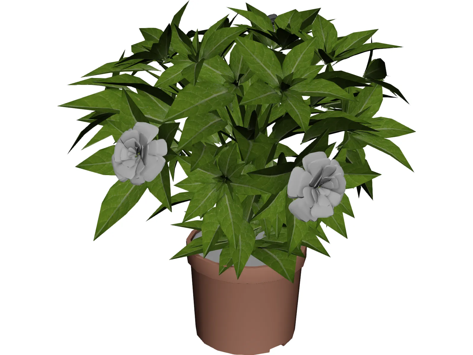 Potted Plant 3D Model main preview