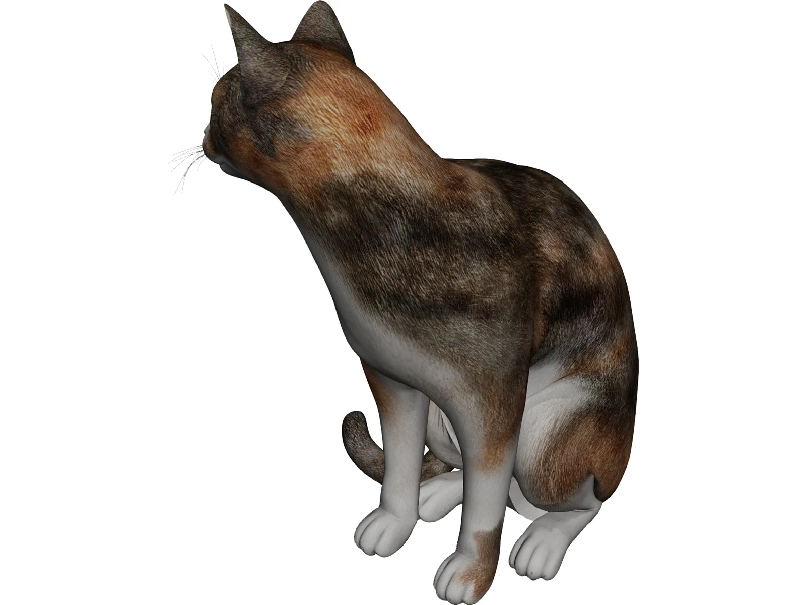Cat Sitting Red Haired 3D Model main preview