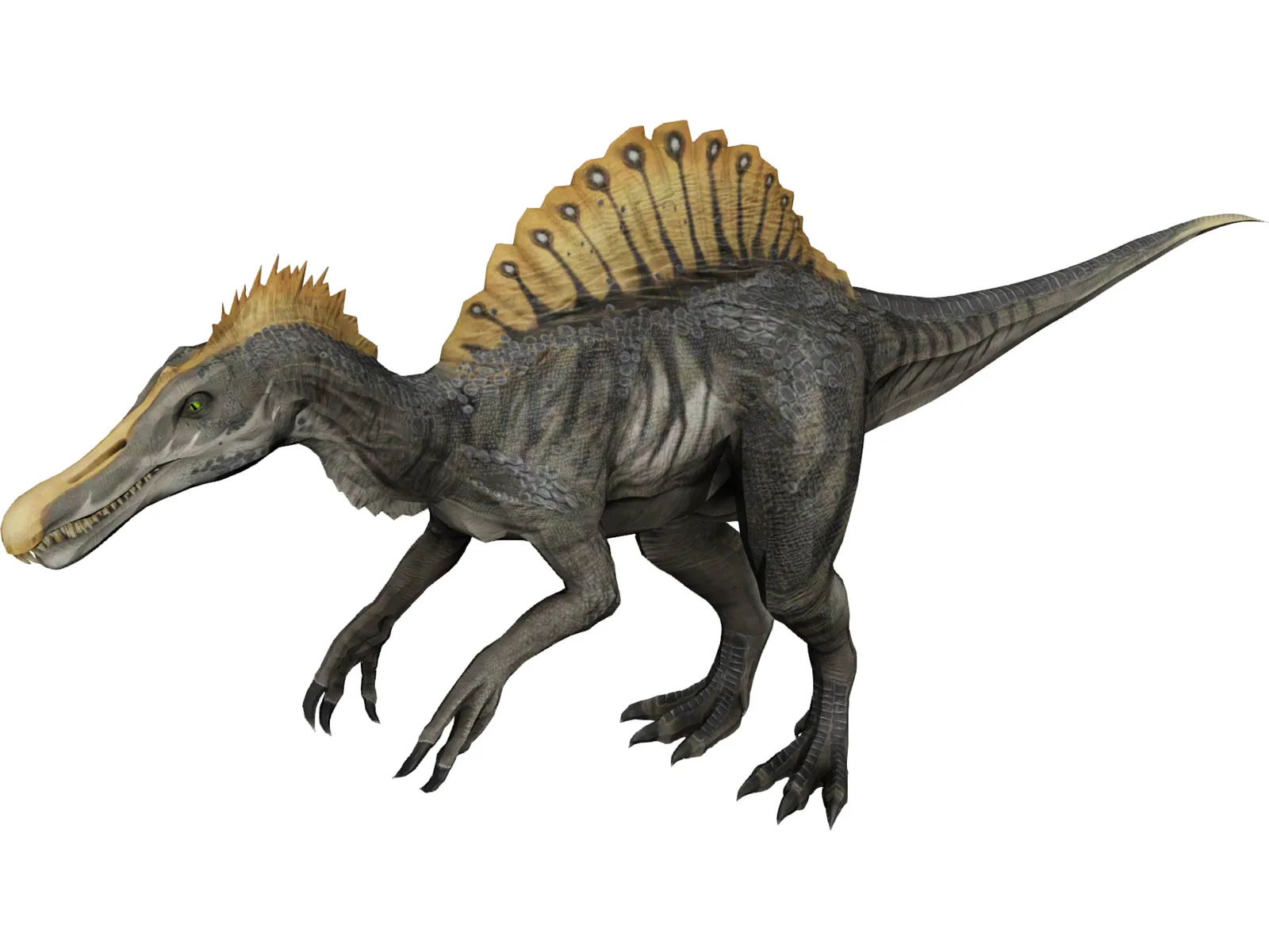 Spinosaurus 3D Model main preview