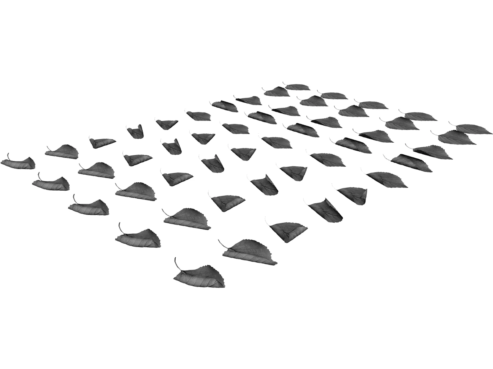 Realistic Leaves Collection 3D Model main preview