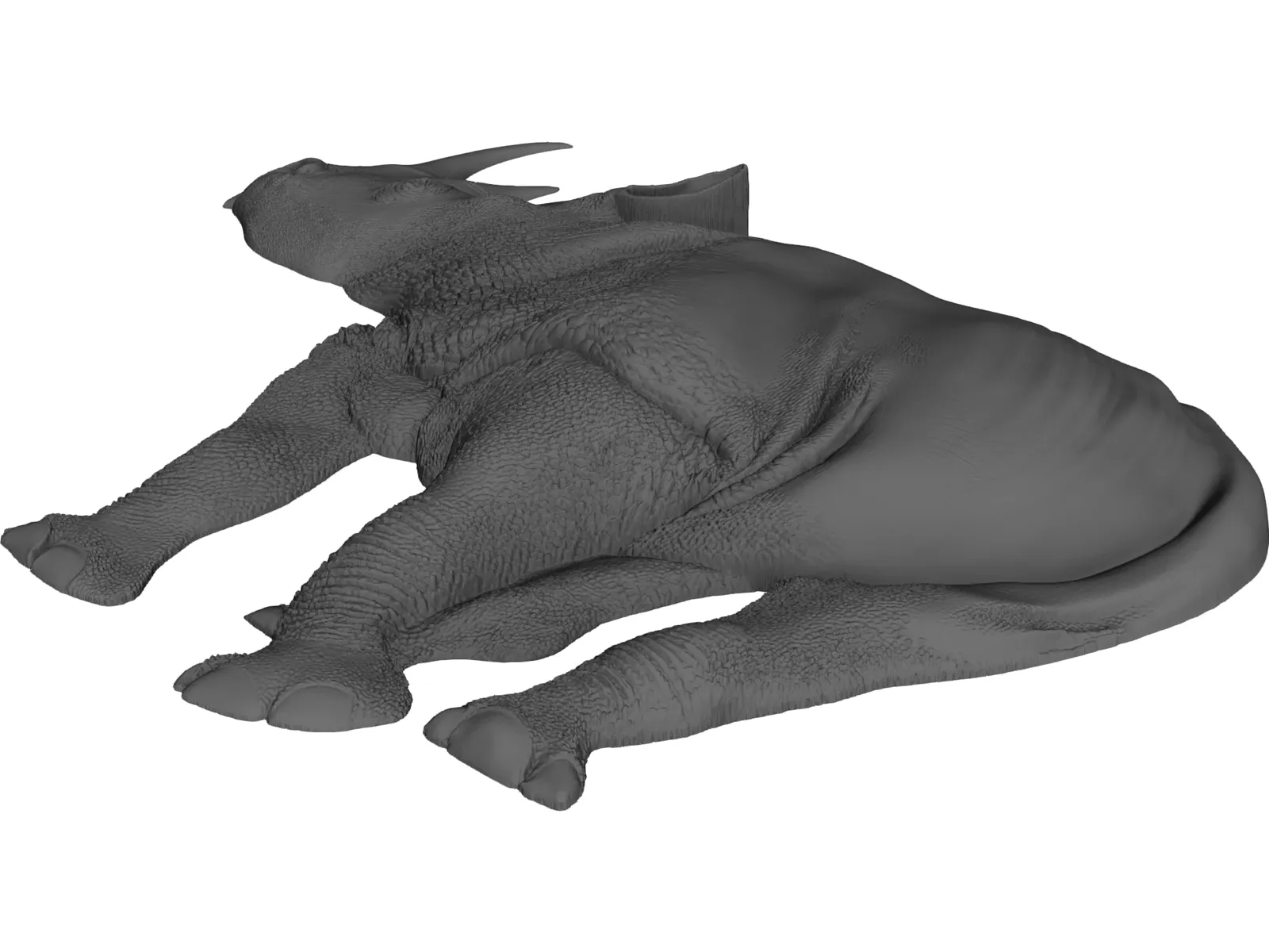 Rhino Staring Relief 3D Model main preview