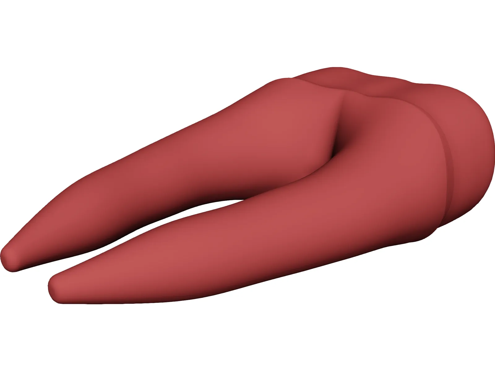 Molar Teeth 3D Model main preview