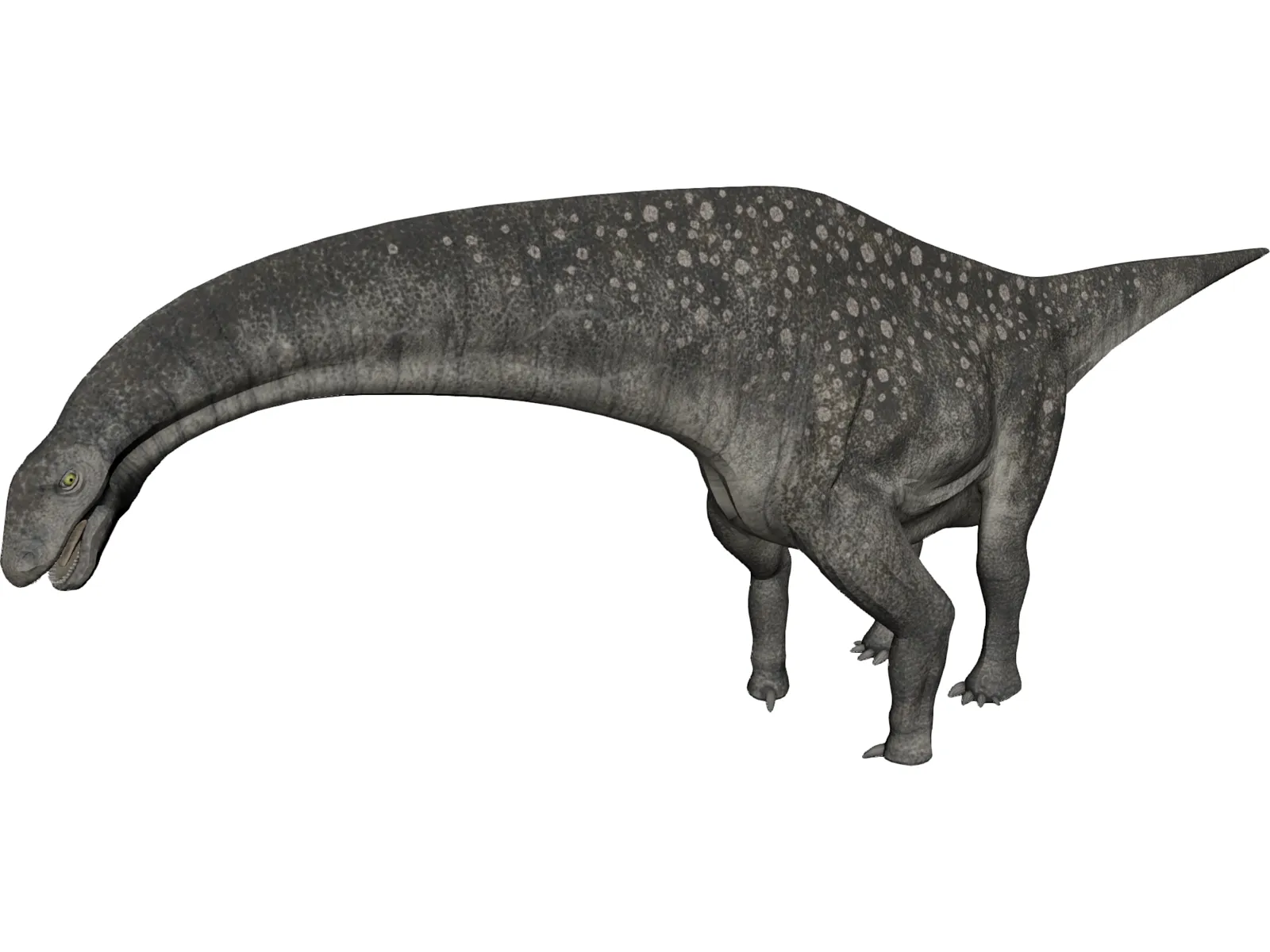 Titanosaurus 3D Model main preview