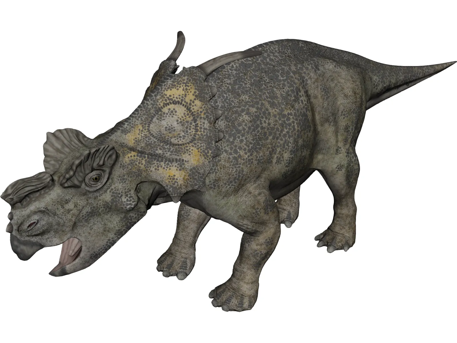 Achelousaurus 3D Model main preview