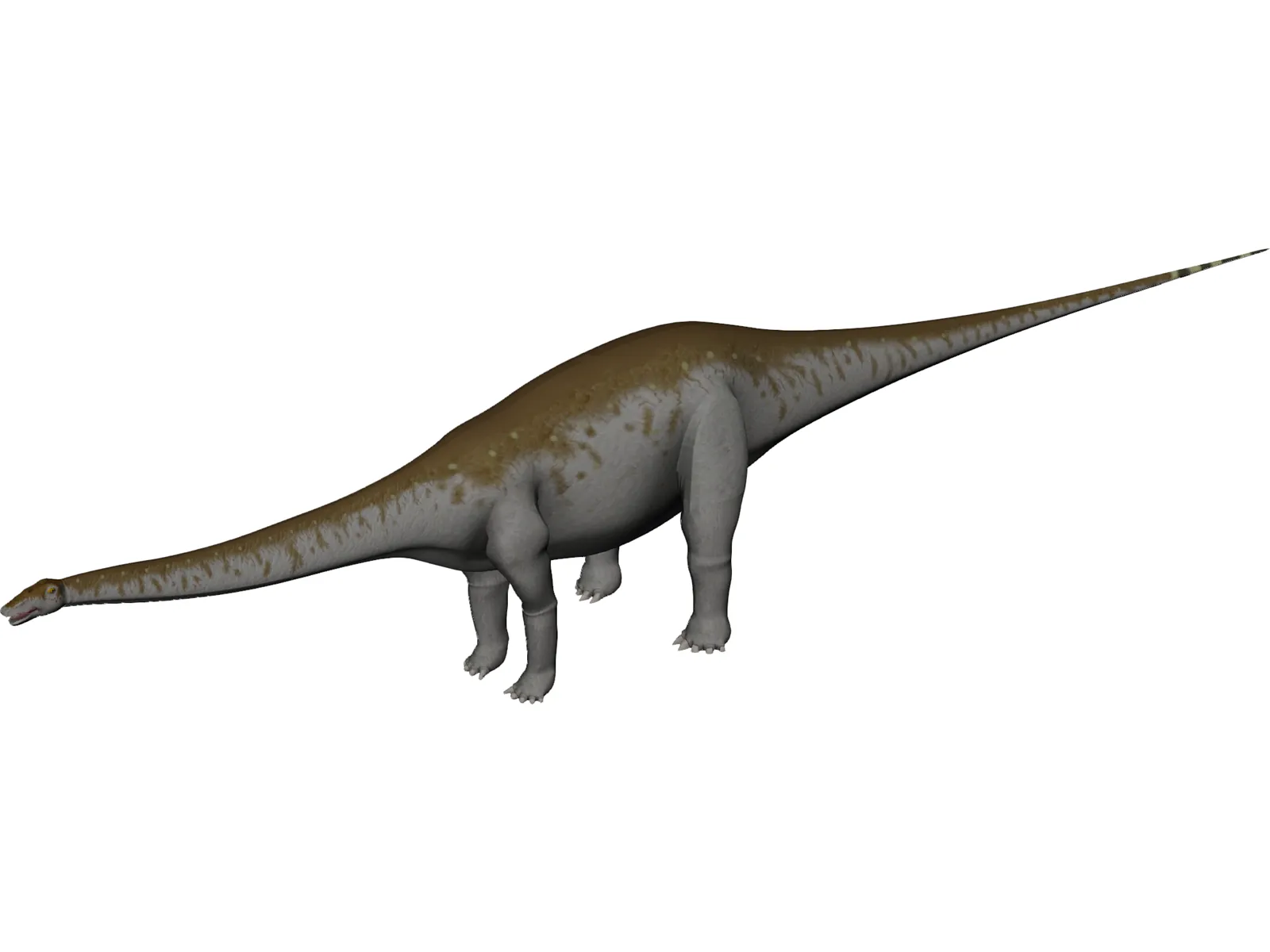 Apatosaurus 3D Model main preview