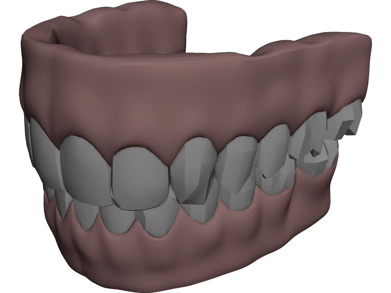 Gums Teeth Tongue 3D Model main preview