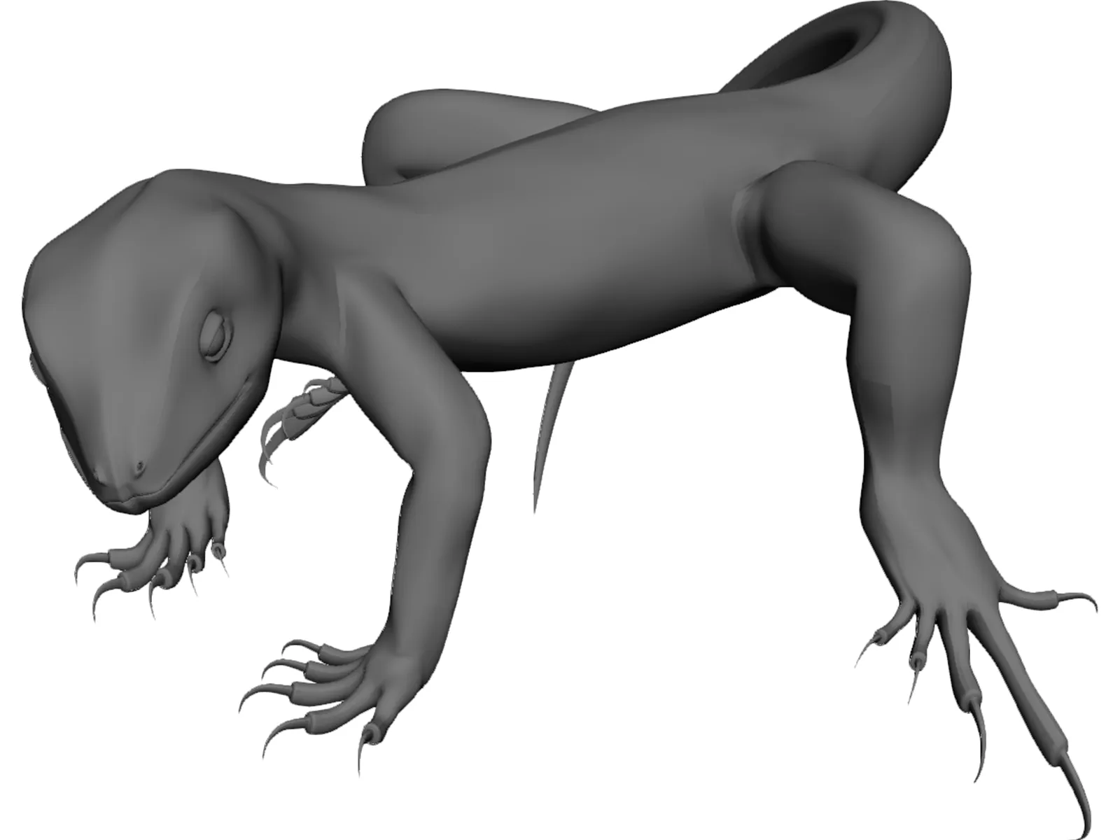 Lizard 3D Model main preview