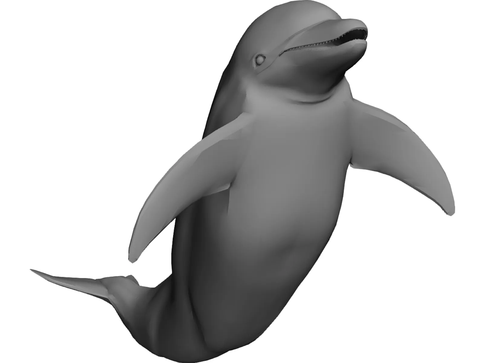 Dolphin 3D Model main preview
