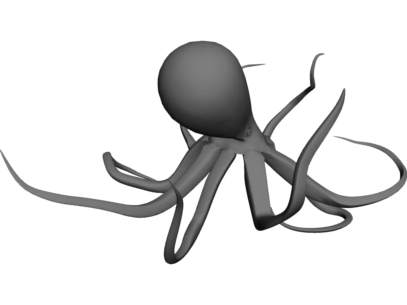 Octopus 3D Model main preview
