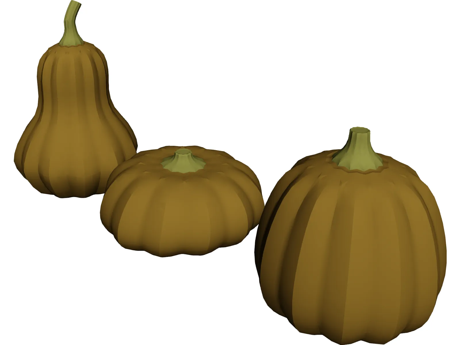 Squash 3D Model main preview