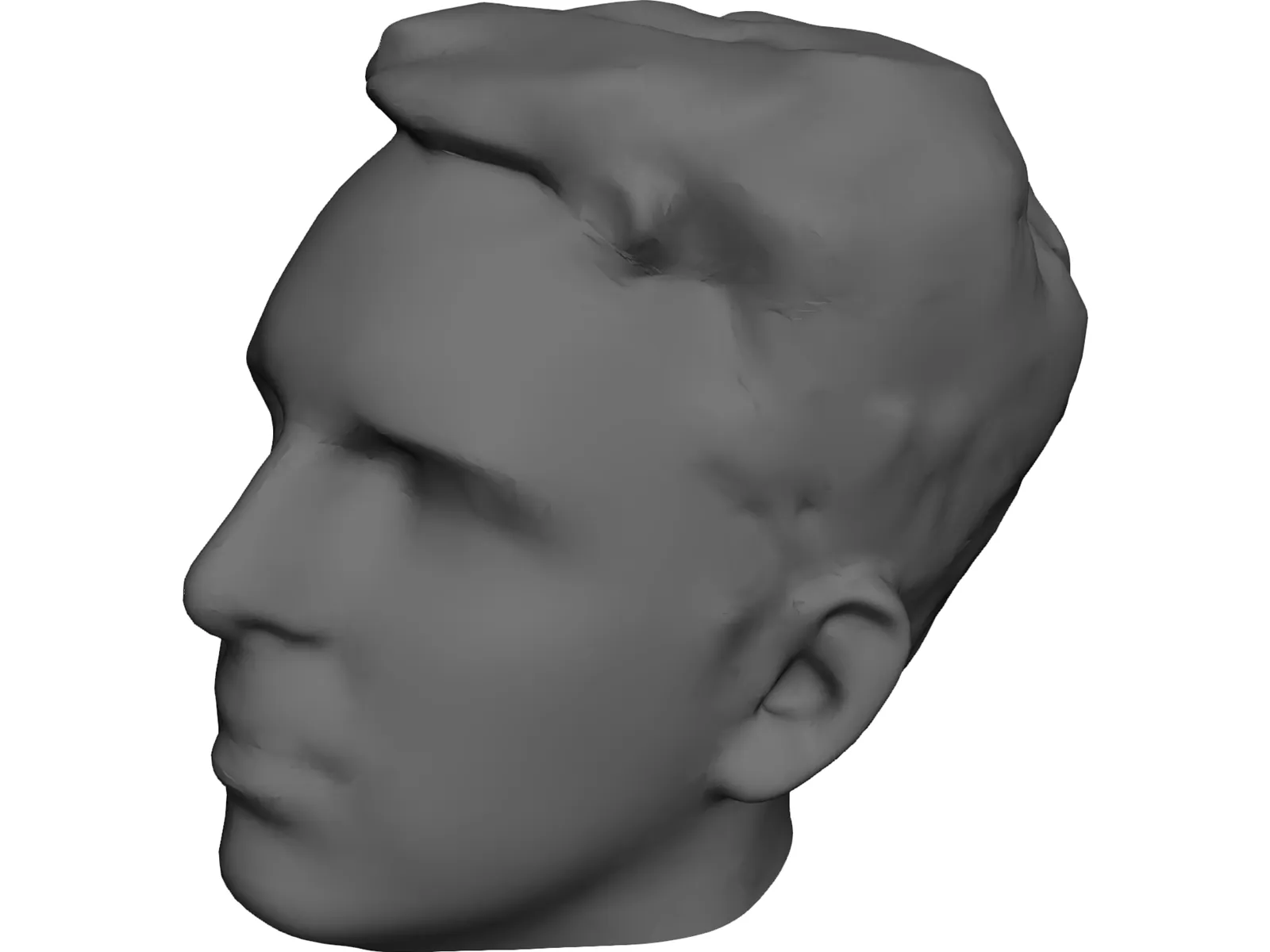 Head Male 3D Model main preview