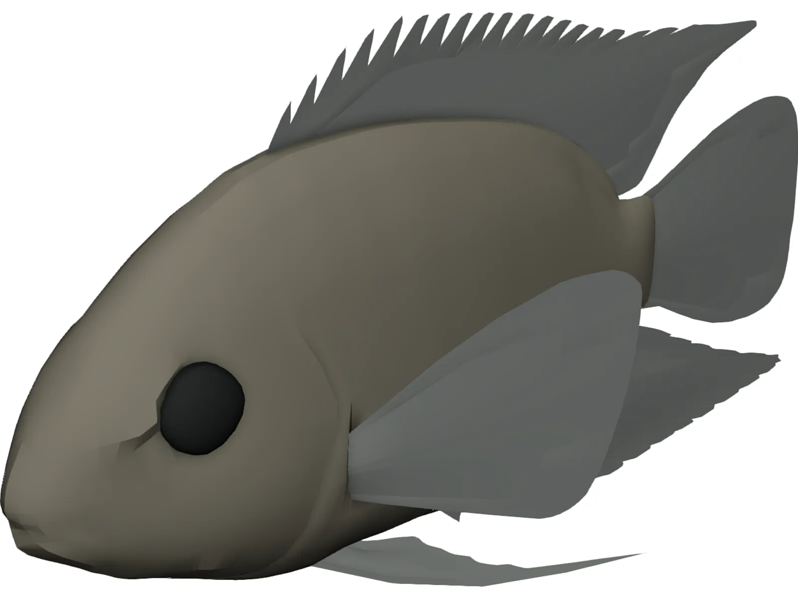 Cichlid 3D Model main preview