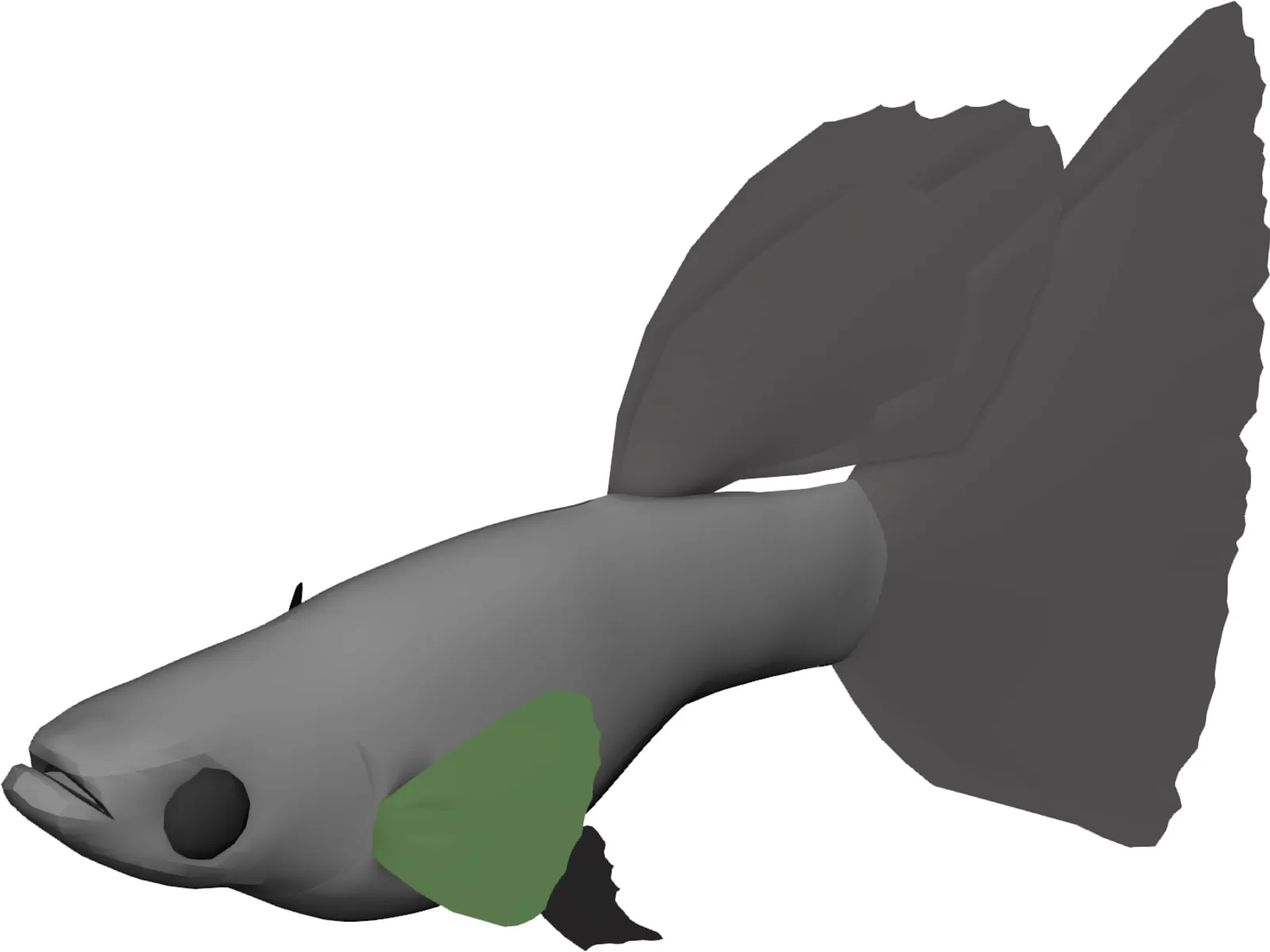 Guppy 3D Model main preview