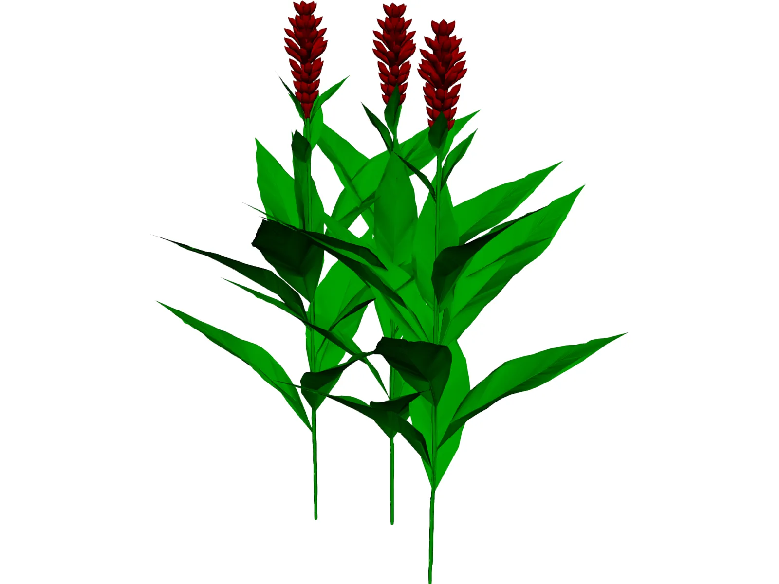 Flower 3D Model main preview