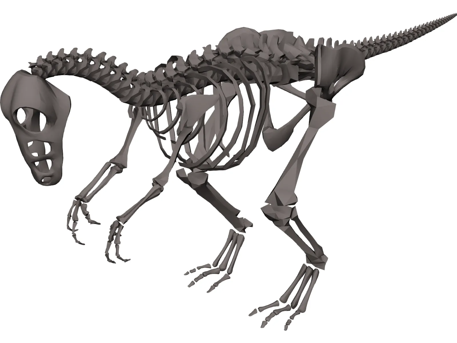 Dinosaur Skeleton 3D Model main preview