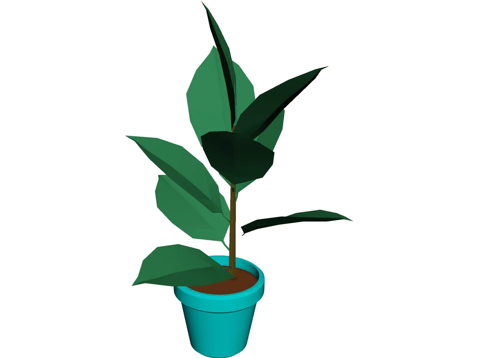 India-Rubber Plant 3D Model main preview