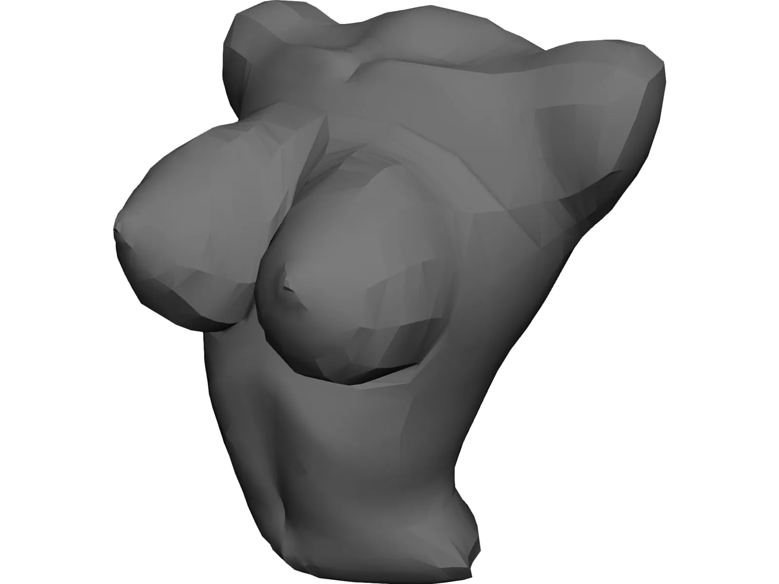 Torso Female Busty 3D Model main preview