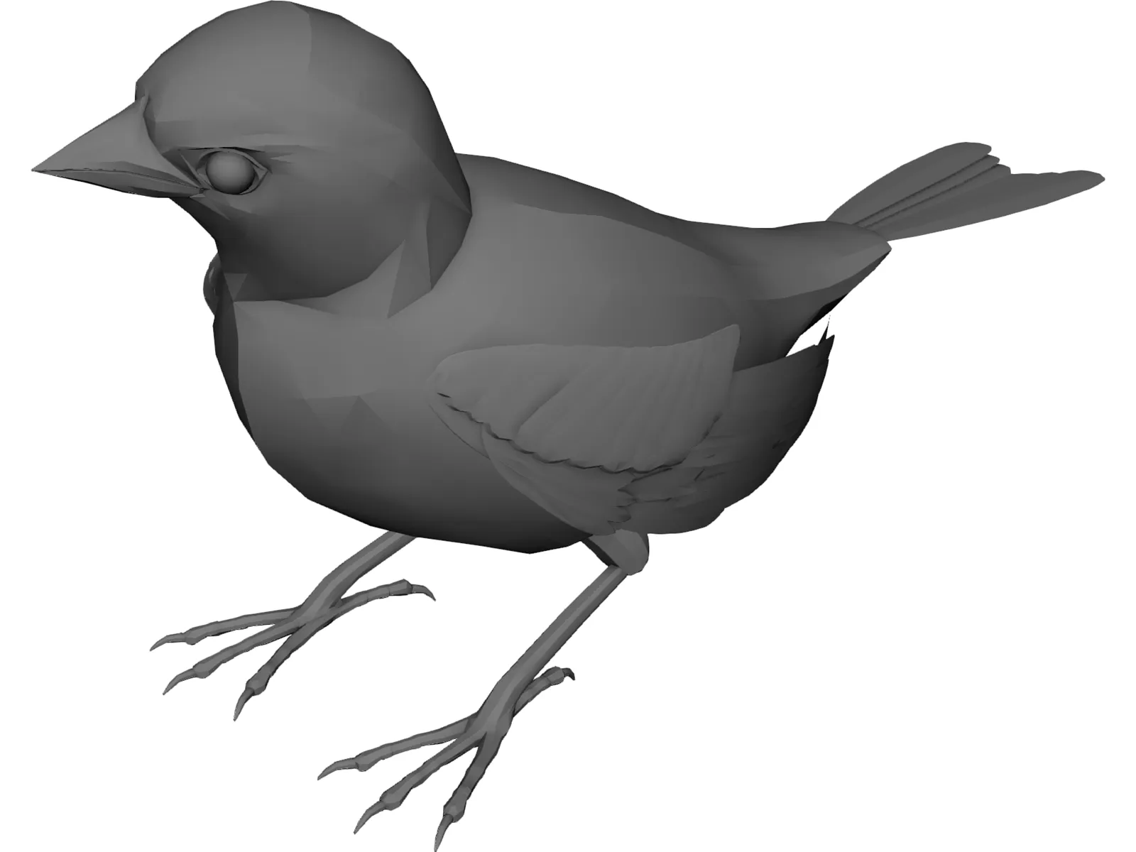 Black Bird 3D Model main preview