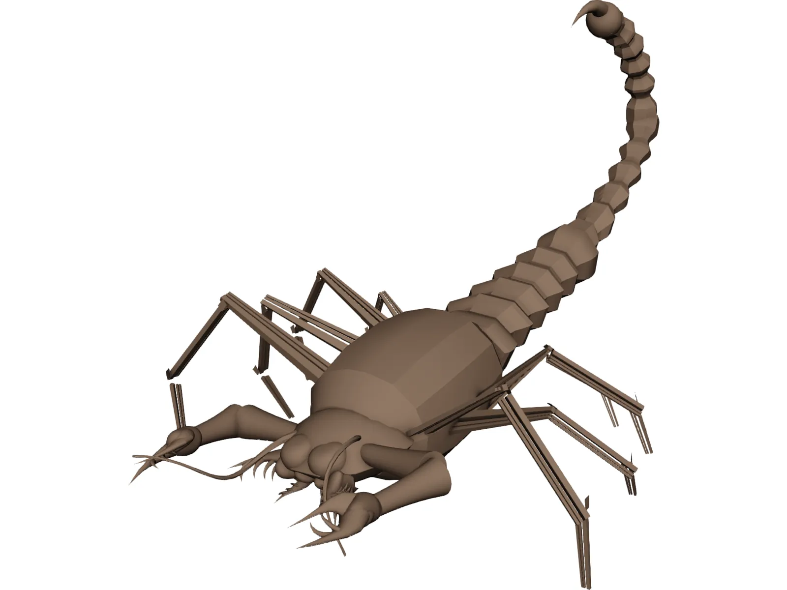 Scorpion 3D Model main preview