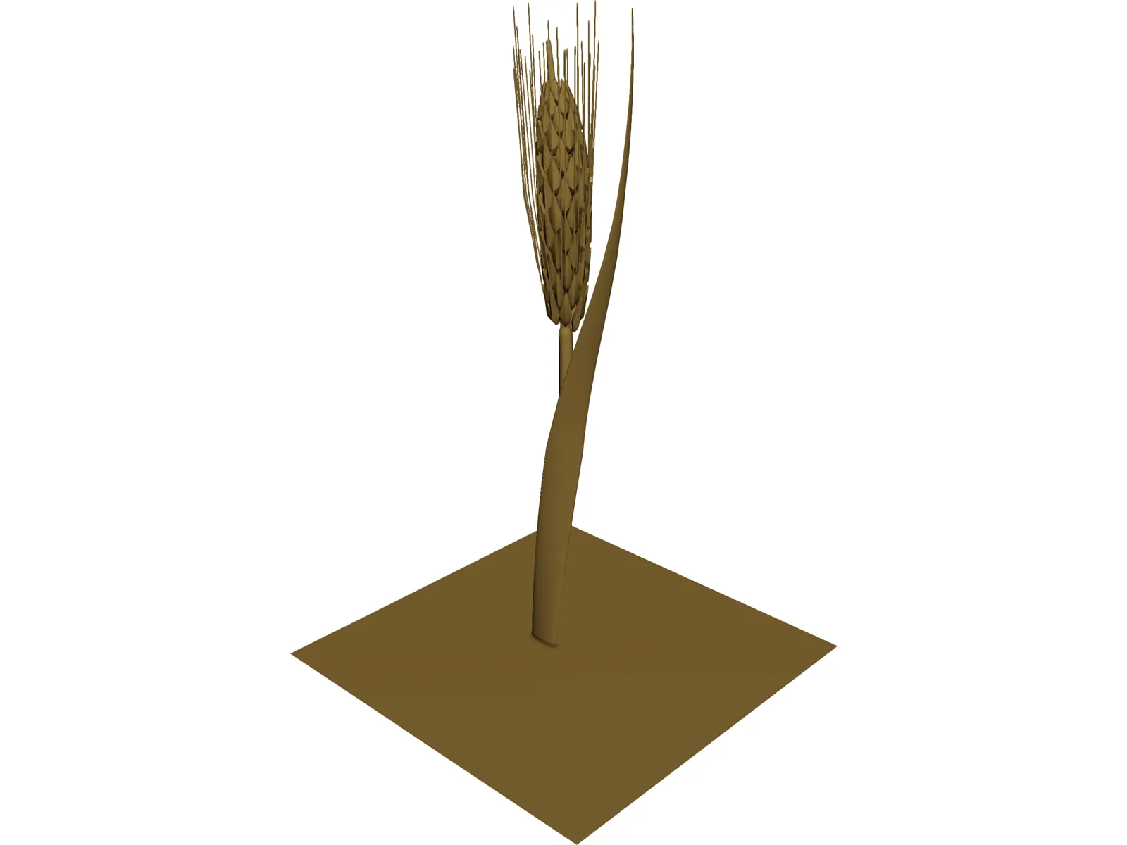 Dried Barley 3D Model main preview