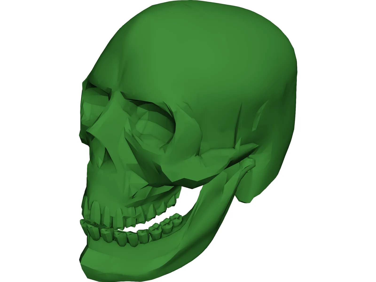 Skull 3D Model main preview