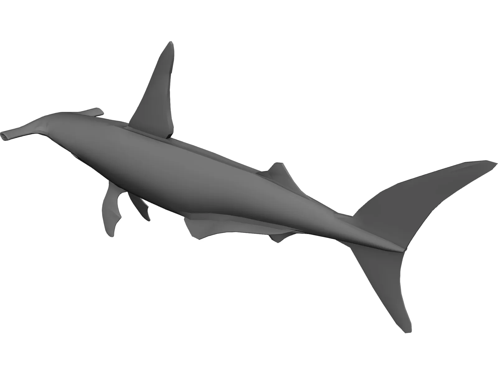Shark 3D Model main preview