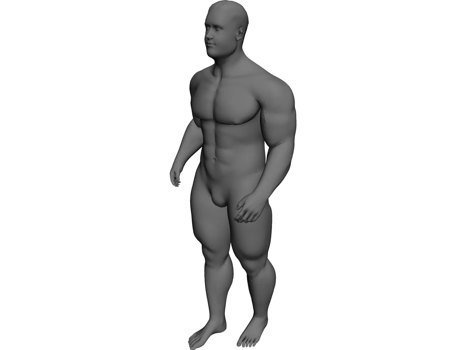 Body Builder 3D Model main preview