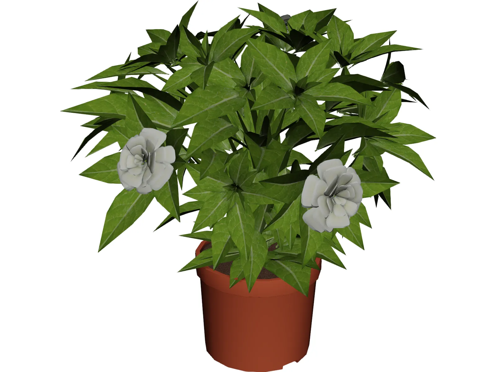 Plant 3D Model main preview