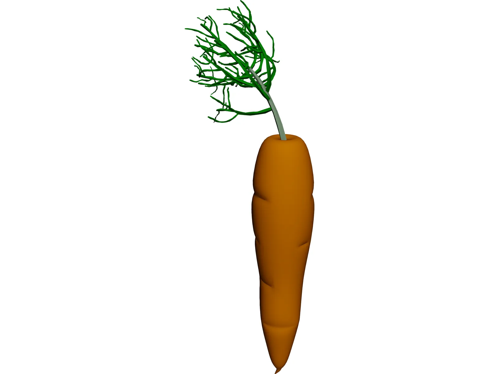 Carrot 3D Model main preview