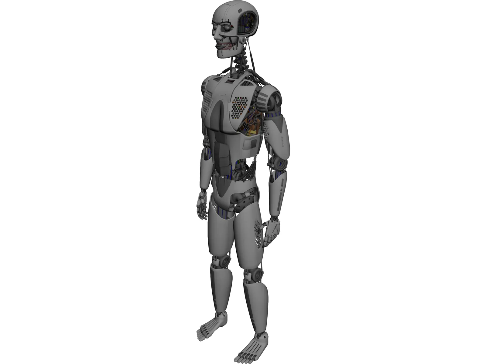 Robot 3D Model main preview