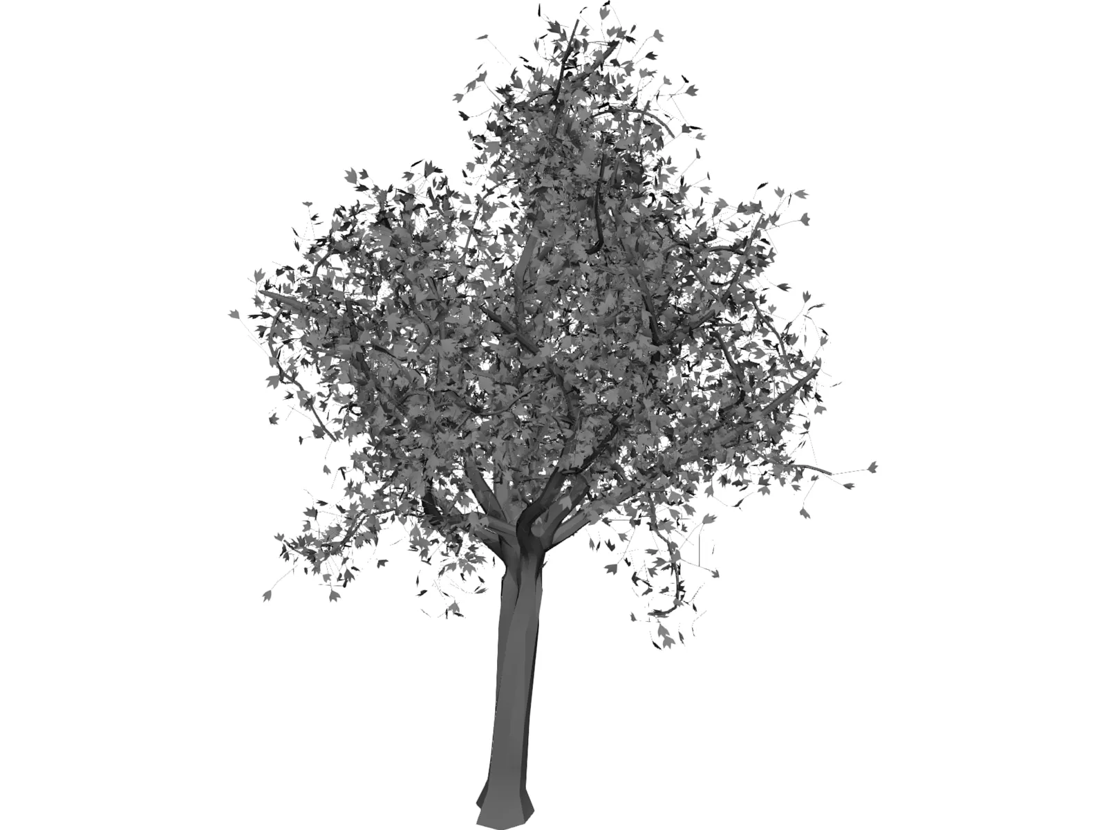 Tree 3D Model main preview