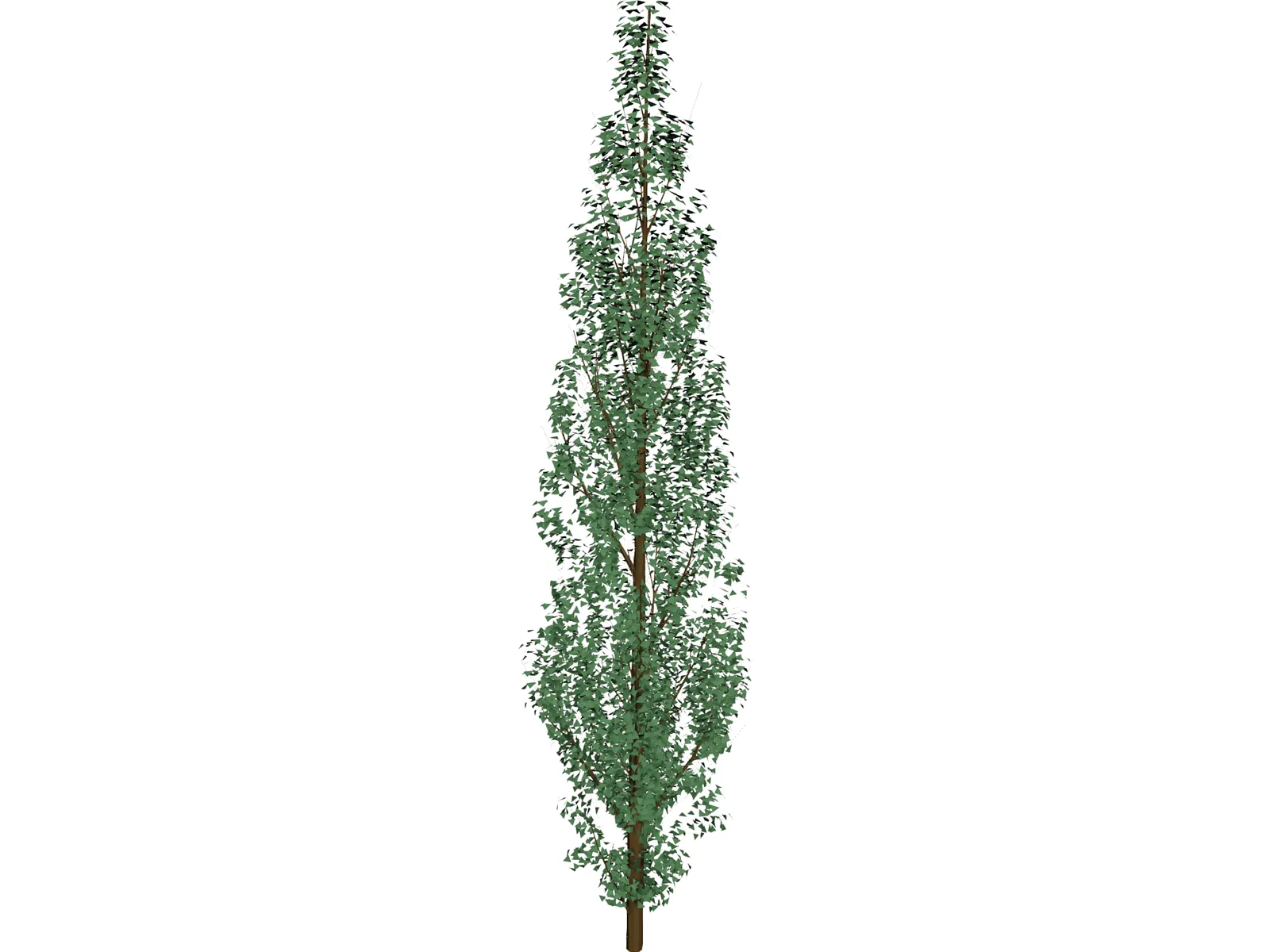 Pine Tree 3D Model main preview