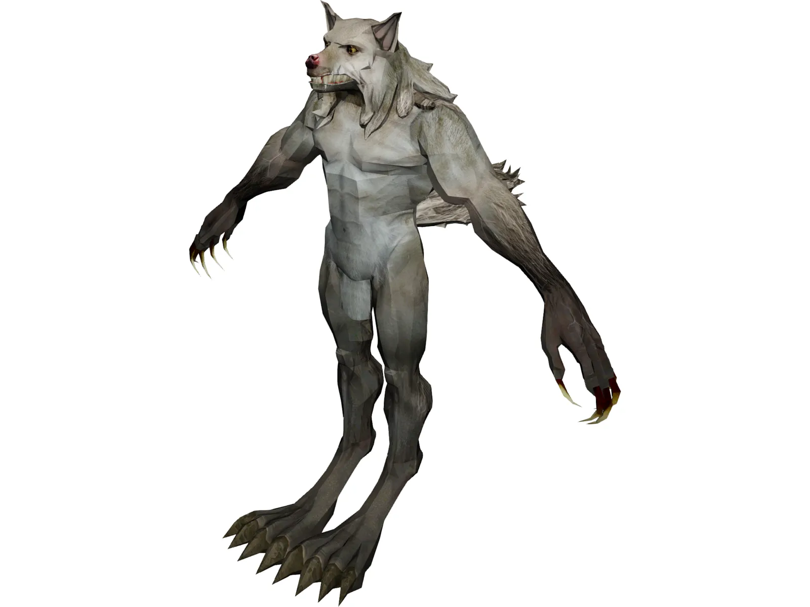Werewolf 3D Model main preview