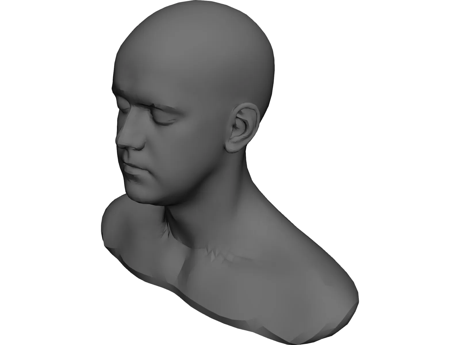 Head 3D Model main preview