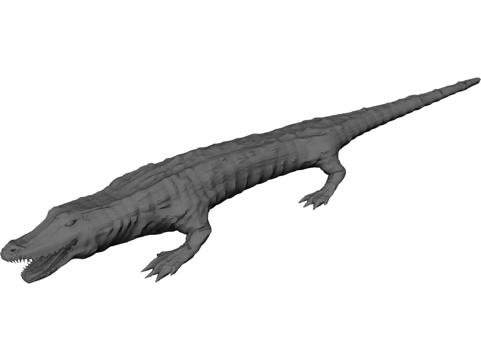 Crocodile 3D Model main preview