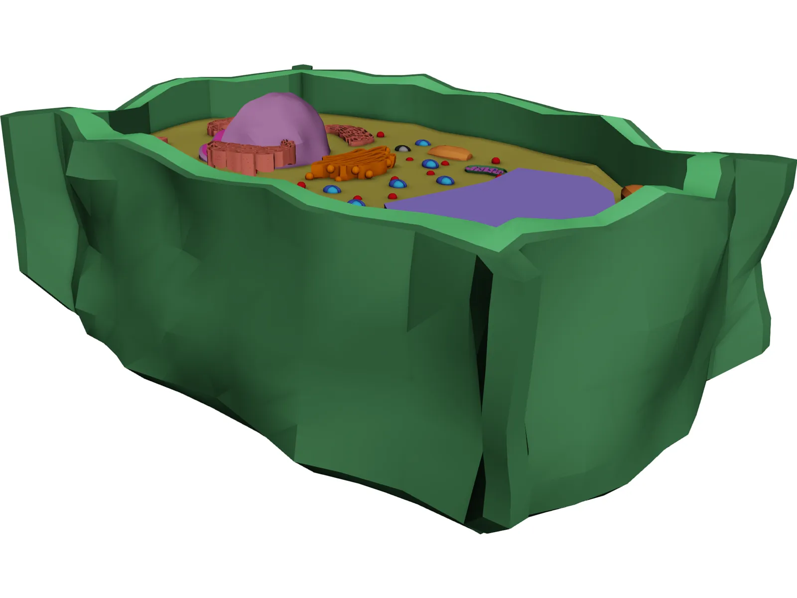 Plant Cell 3D Model main preview