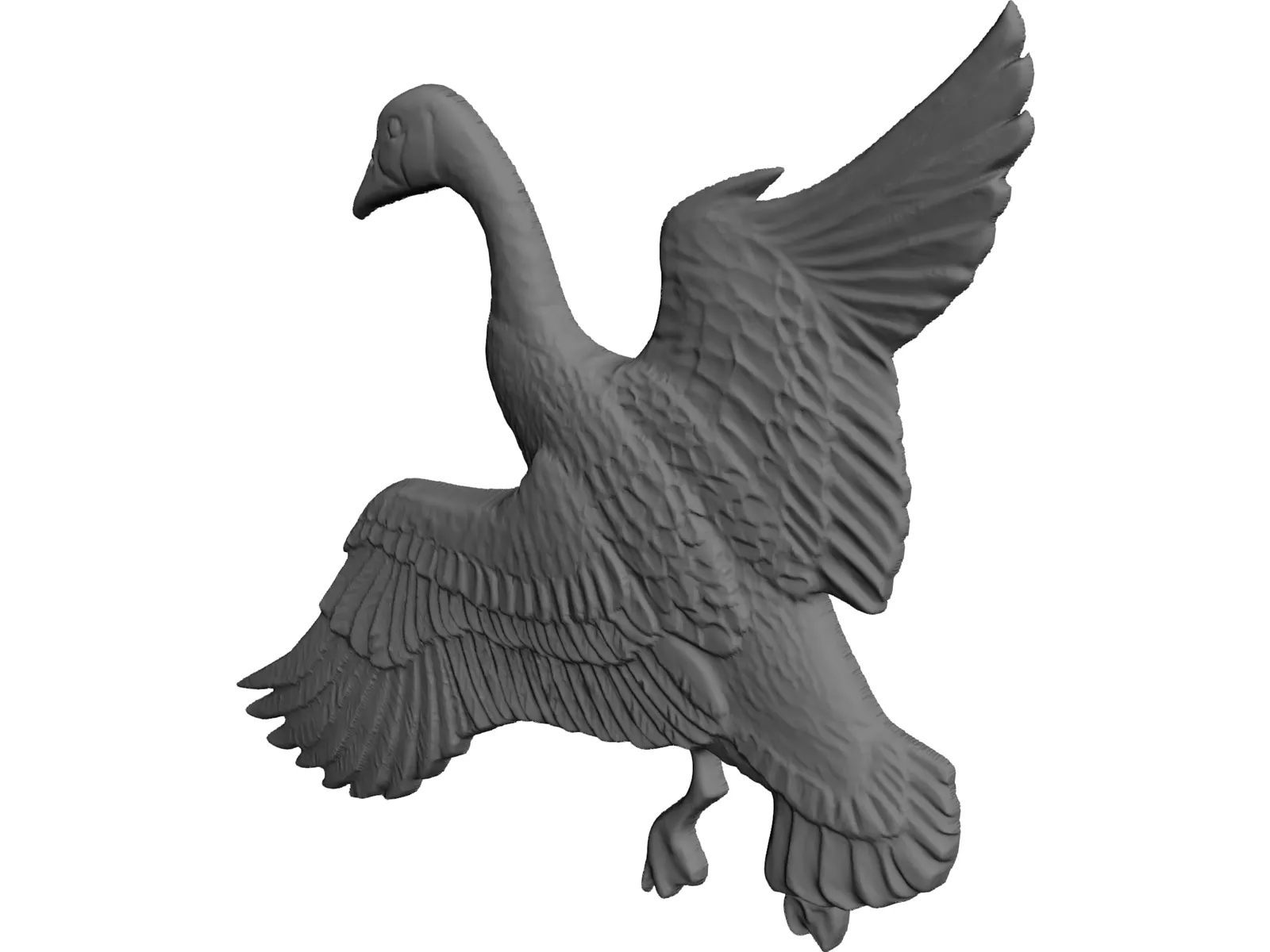 Canadian Goose 3D Model main preview
