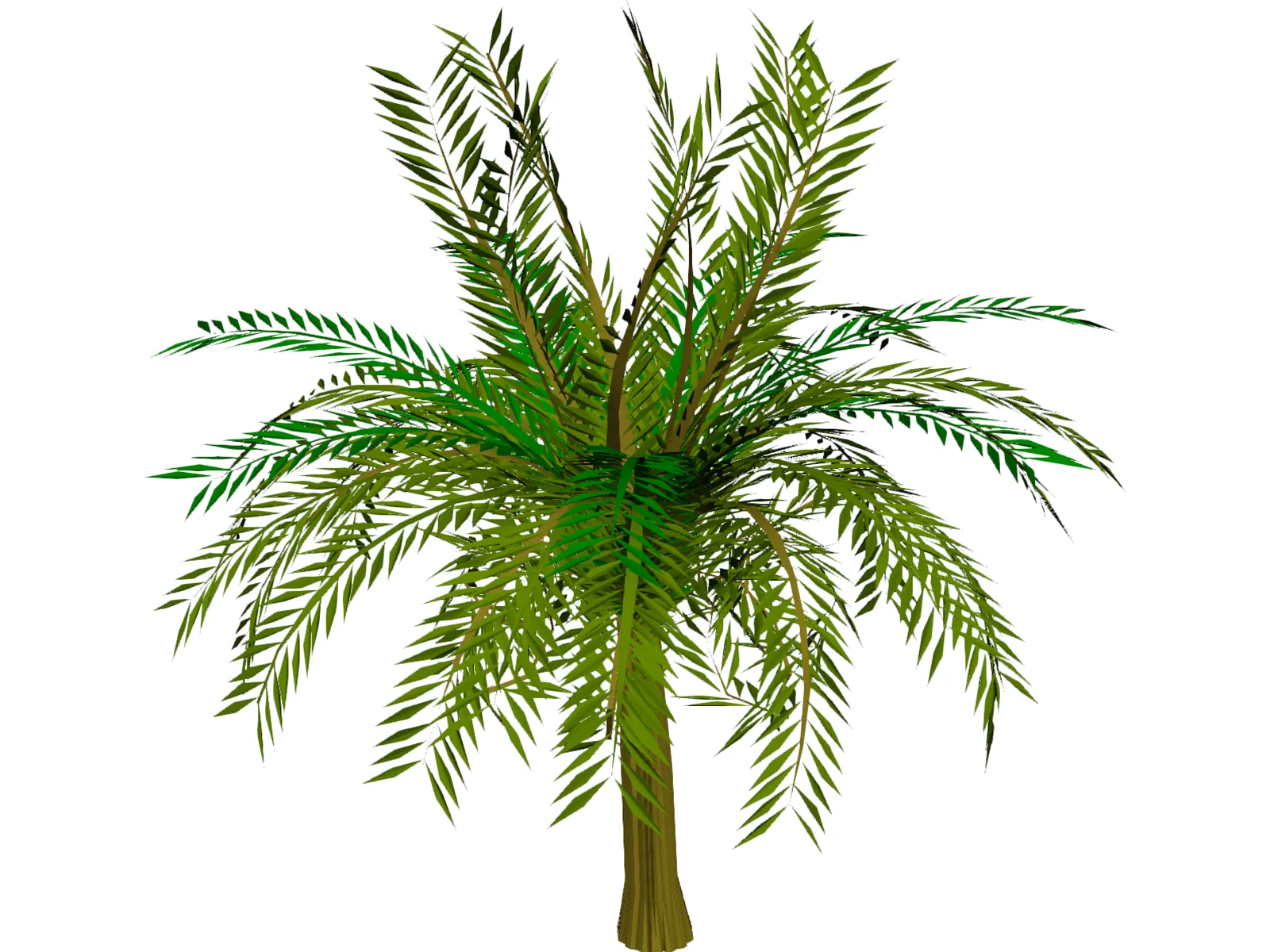 Palm Tree 3D Model main preview