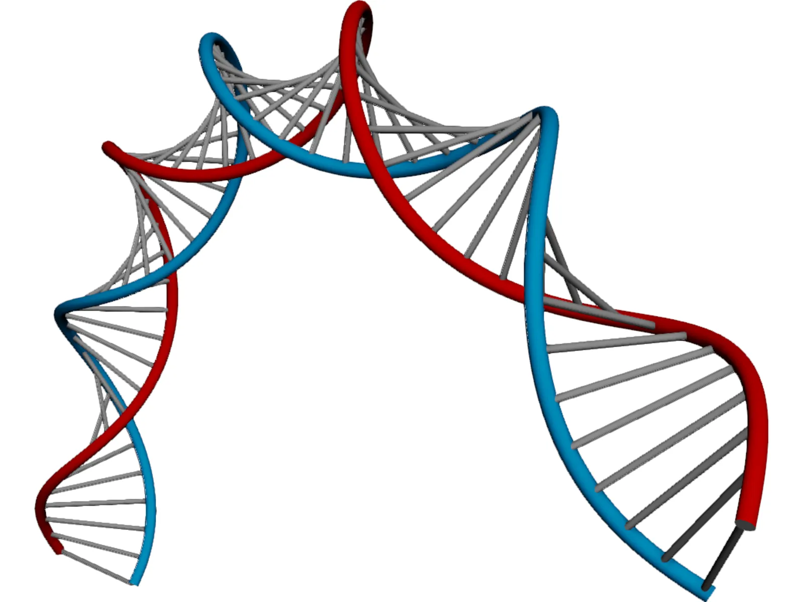 DNA 3D Model main preview