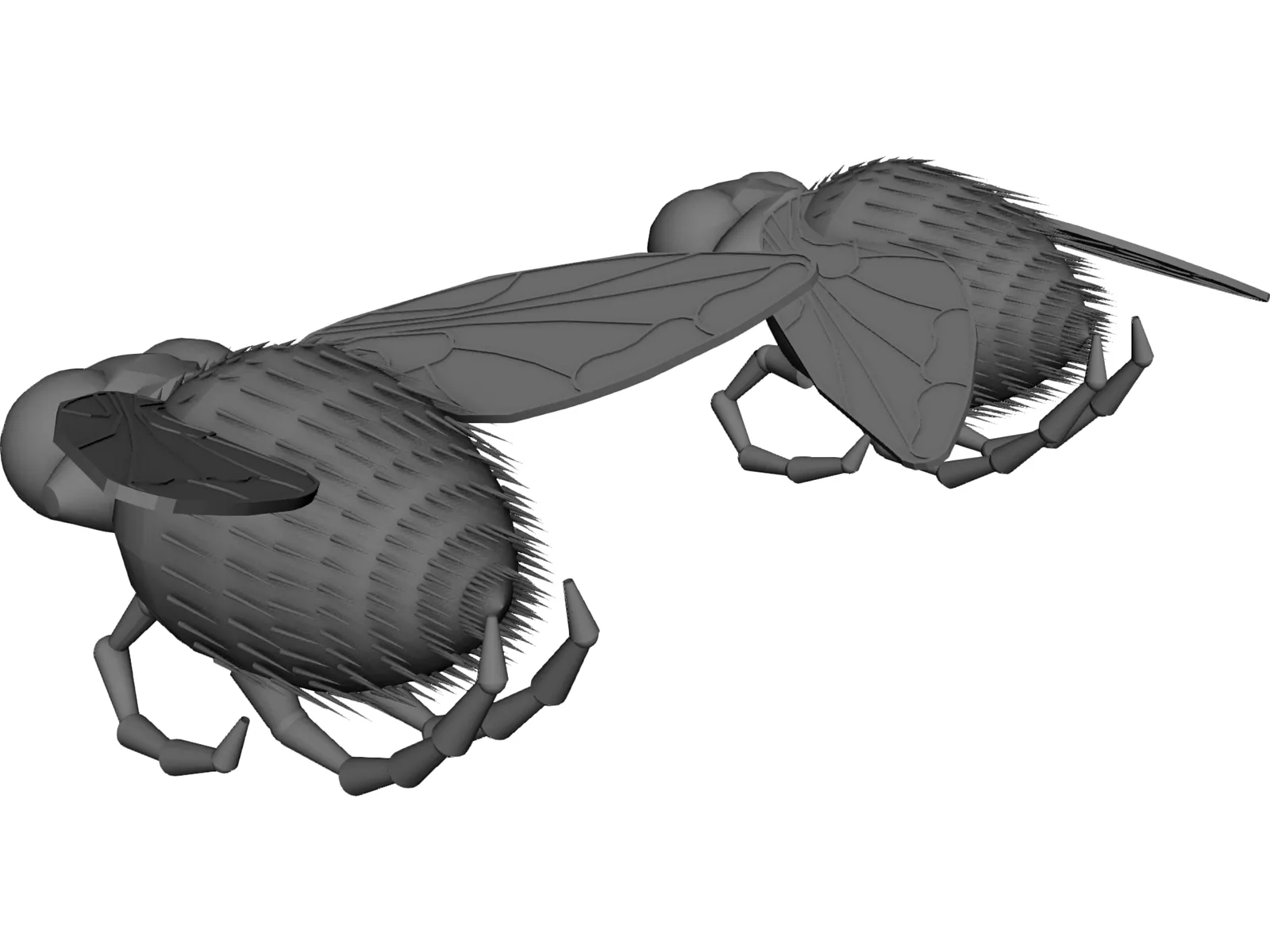 Fly 3D Model main preview