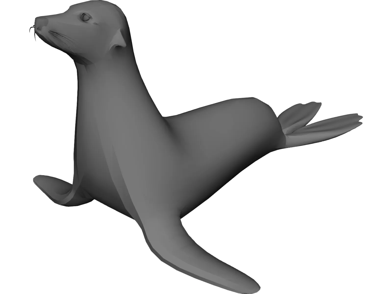 Sealion 3D Model main preview