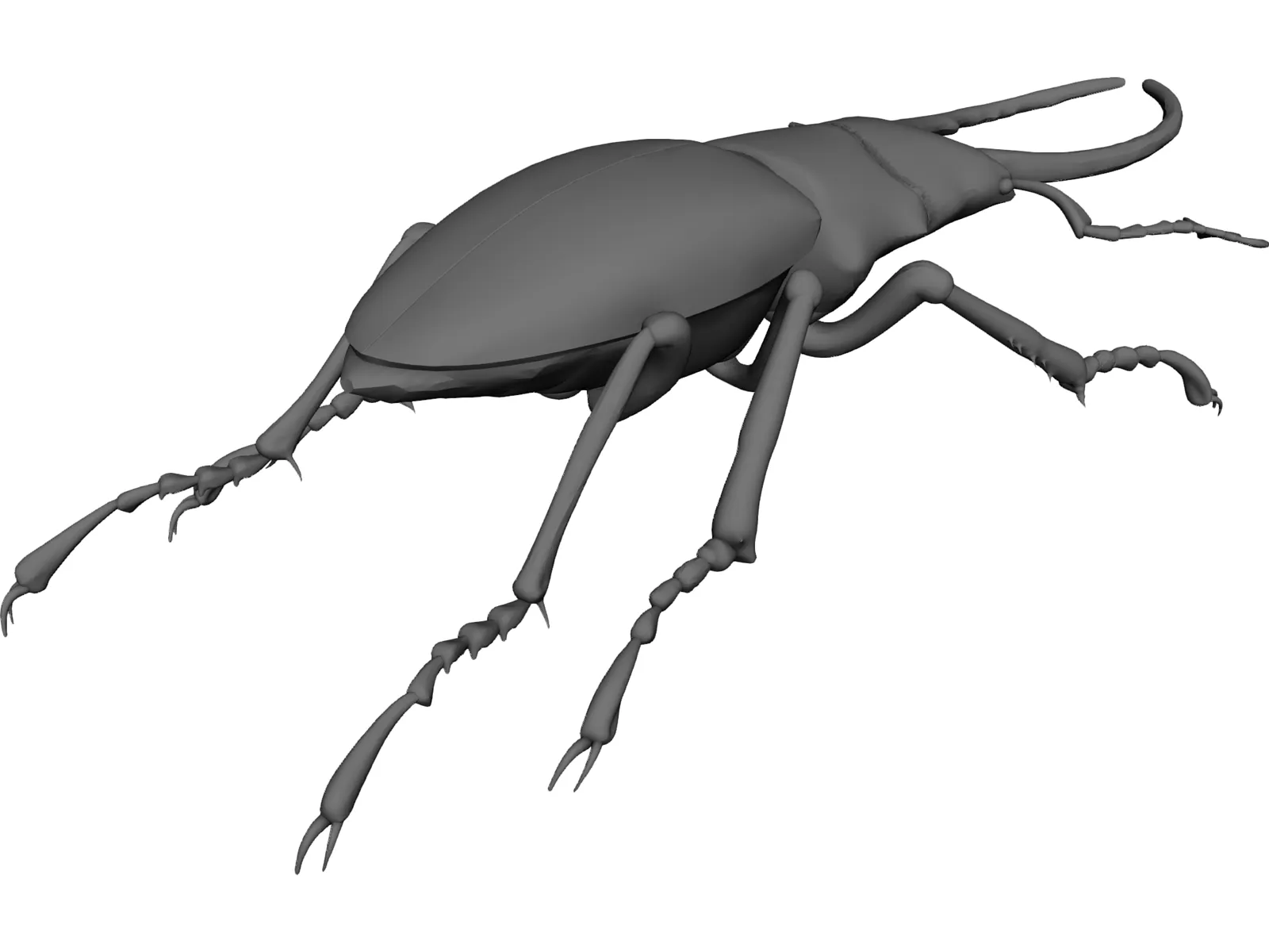 Stag Beetle 3D Model main preview