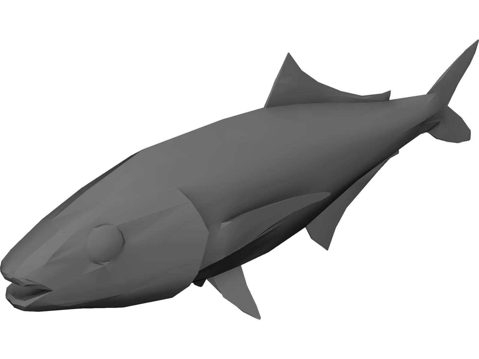 Full Fish 3D Model main preview