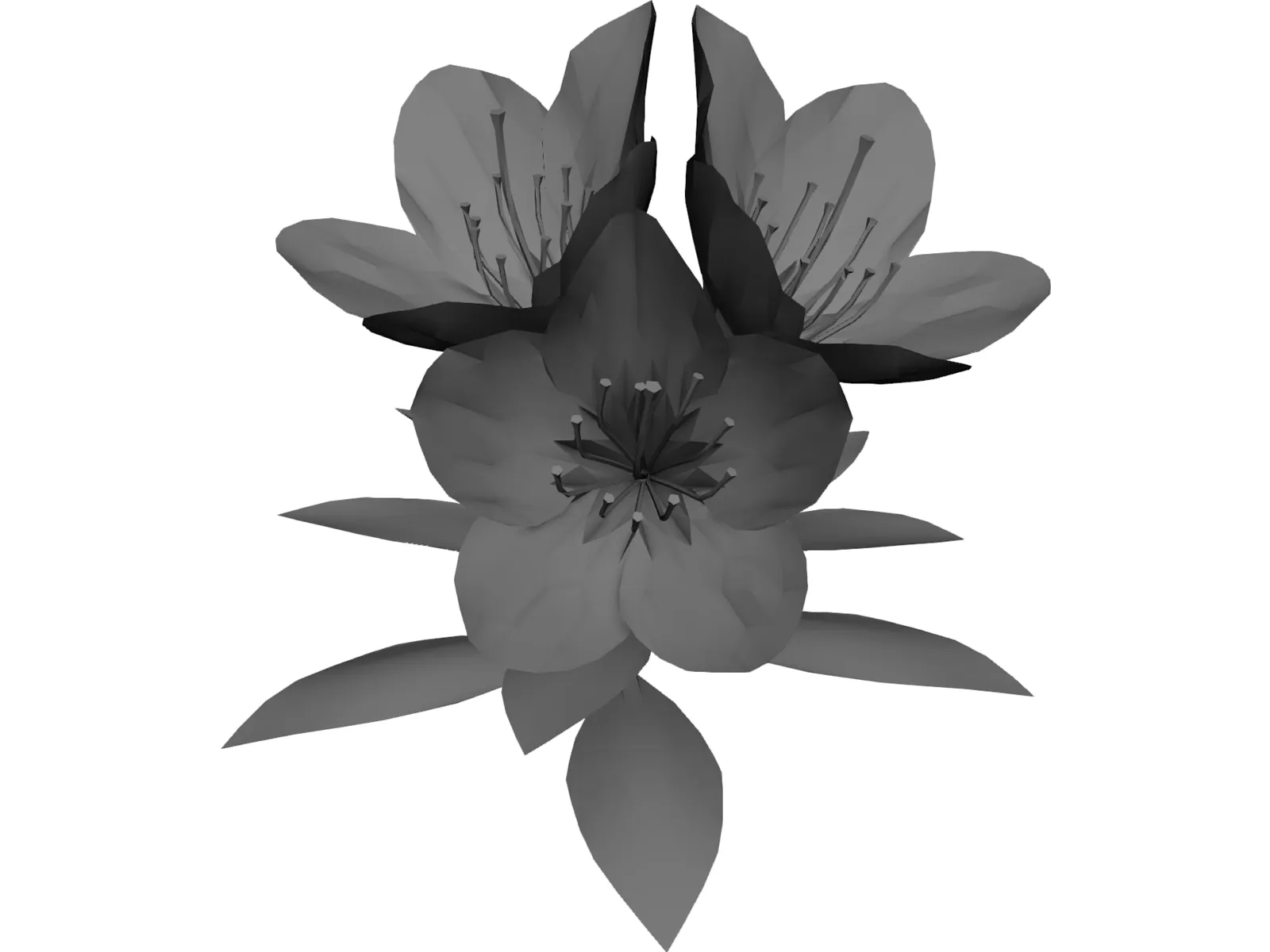 Tutuzi 3D Model main preview